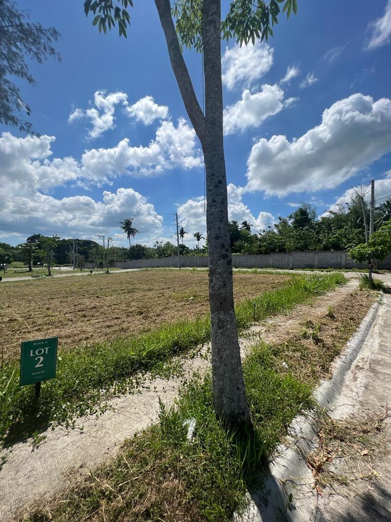 Residential Lot for Sale | Rockwell Terreno South, Lipa, Batangas - Image 3