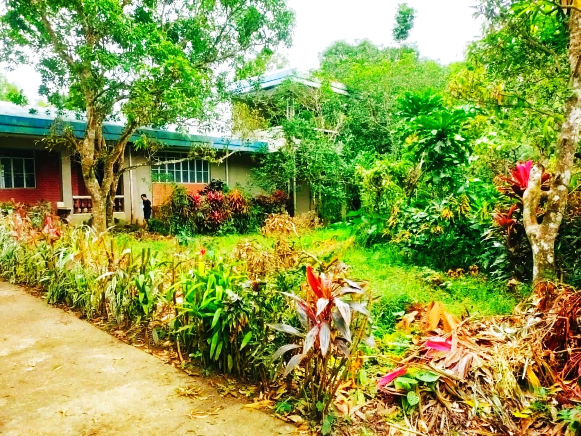3 Bedroom House and Lot for Sale | UPLB, Los Banos, Laguna - Image 2