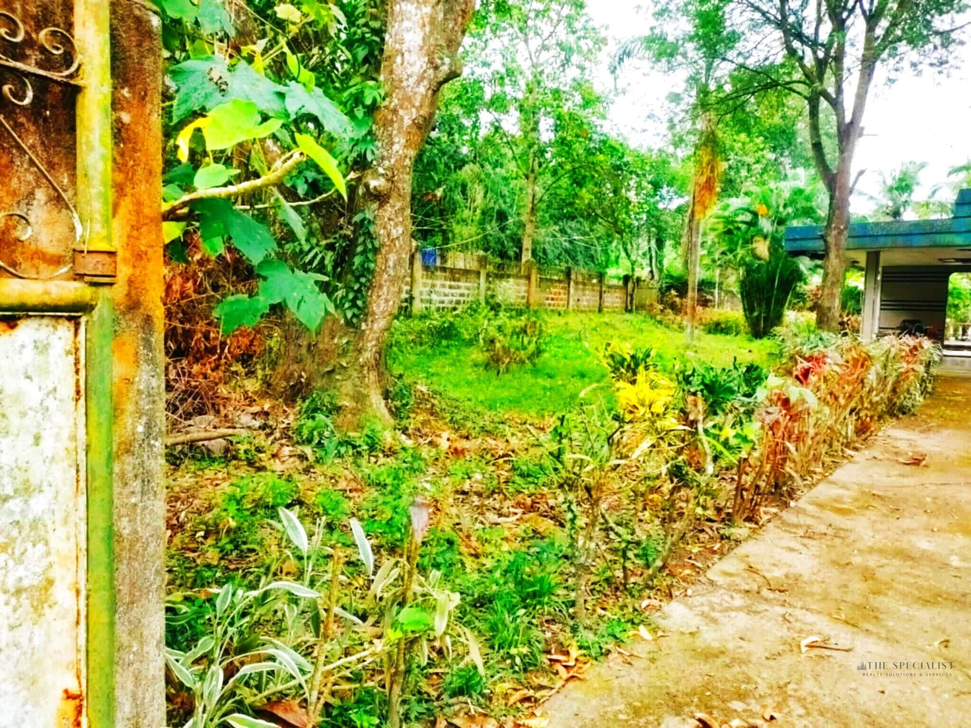 3 Bedroom House and Lot for Sale | UPLB, Los Banos, Laguna - Image 5
