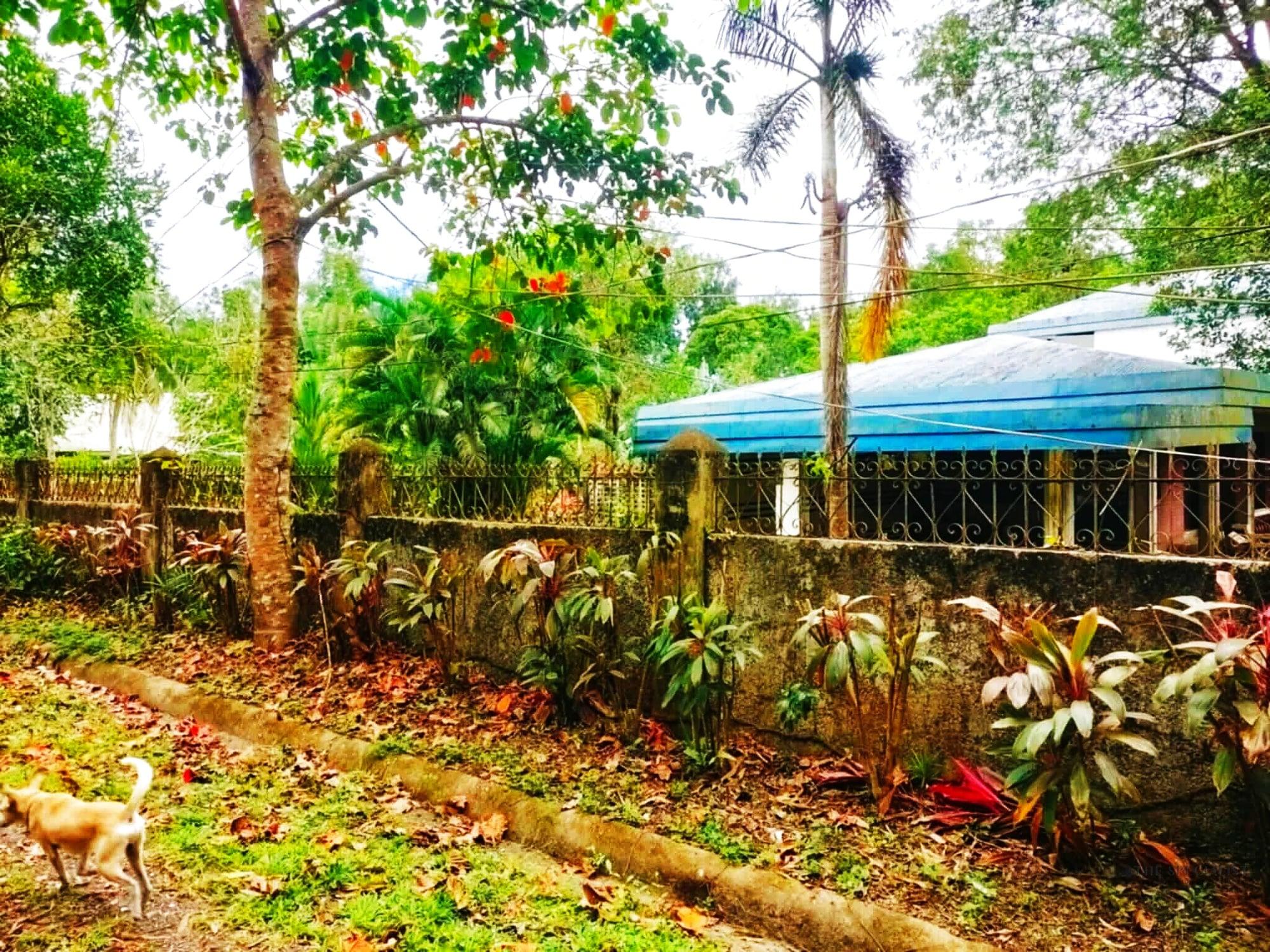 3 Bedroom House and Lot for Sale | UPLB, Los Banos, Laguna - Image 6